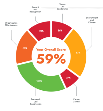 report pie chart
